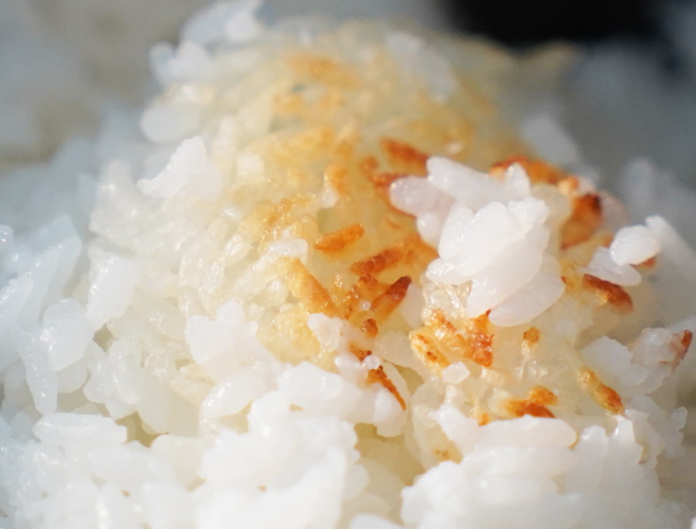 おこげが美味しいごはん土鍋